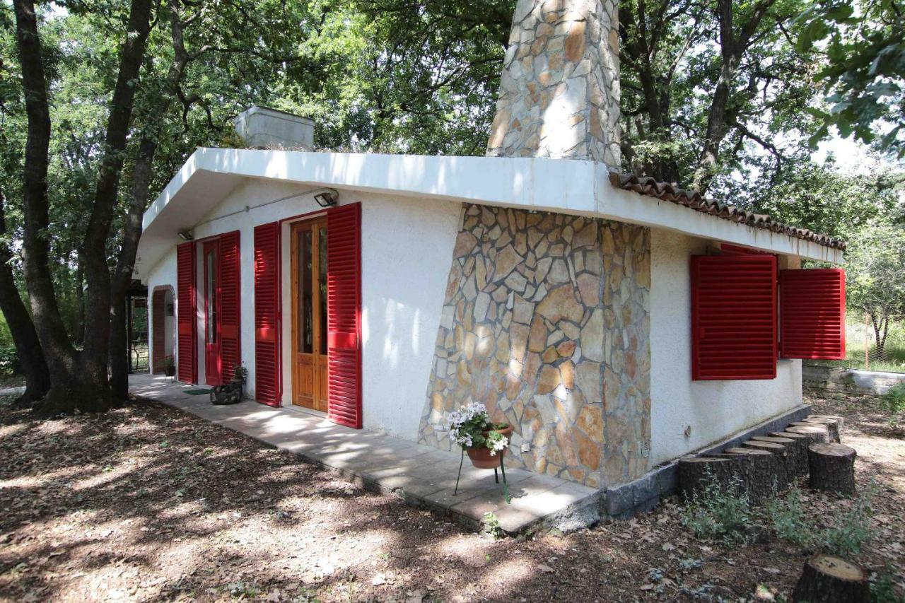 Chalet Villa Fini Fleri 外观 照片