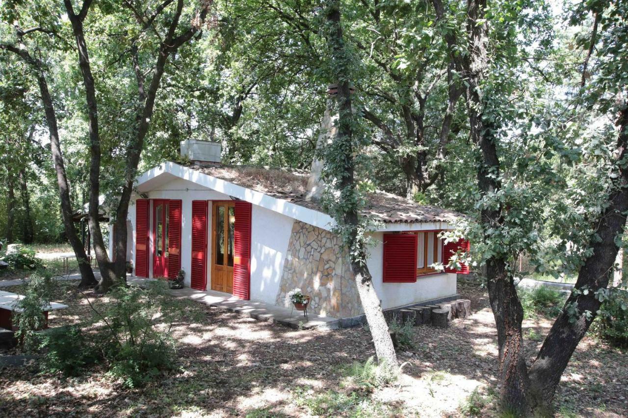 Chalet Villa Fini Fleri 外观 照片