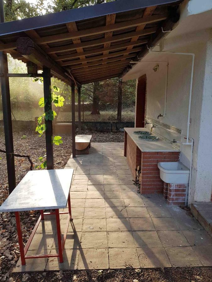 Chalet Villa Fini Fleri 外观 照片